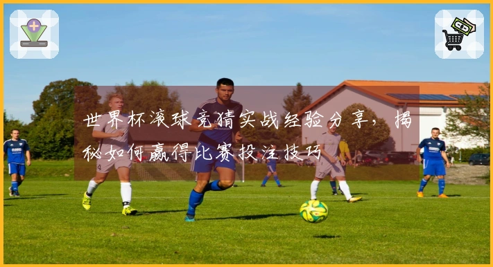 世界杯滚球竞猜实战经验分享，揭秘如何赢得比赛投注技巧