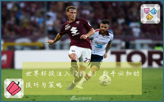 世界杯投注入门指南：新手必知的技巧与策略