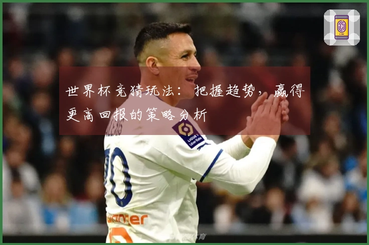 世界杯竞猜玩法：把握趋势，赢得更高回报的策略分析