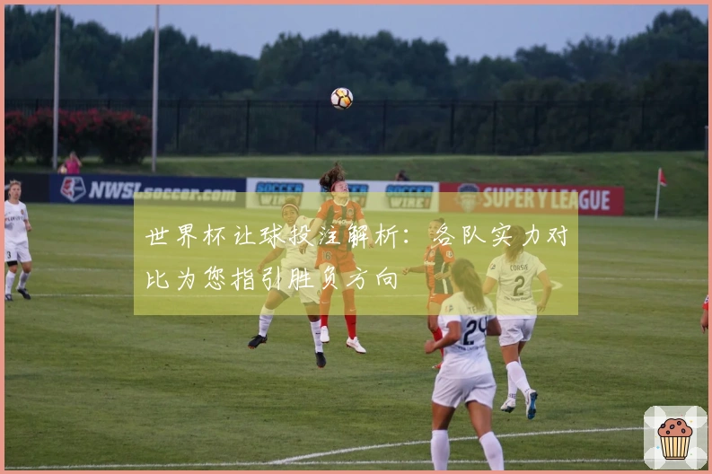 世界杯让球投注解析：各队实力对比为您指引胜负方向