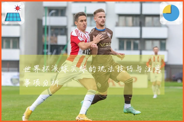 世界杯滚球买球的玩法技巧与注意事项分析