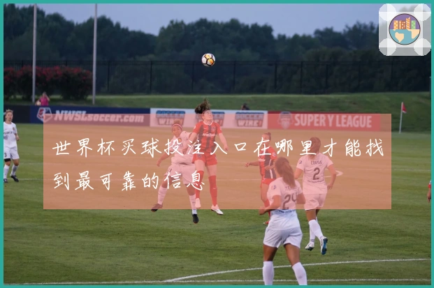 世界杯买球投注入口在哪里才能找到最可靠的信息