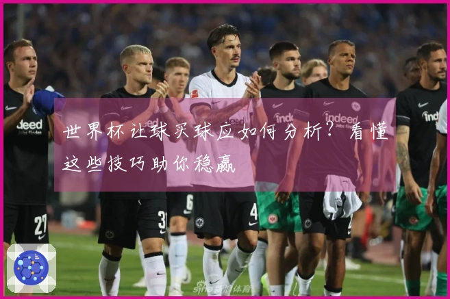 世界杯让球买球应如何分析？看懂这些技巧助你稳赢