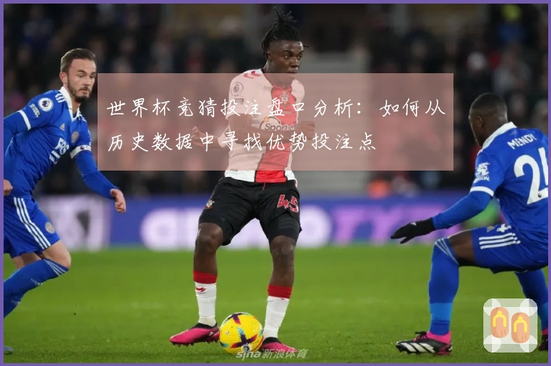 世界杯竞猜投注盘口分析：如何从历史数据中寻找优势投注点