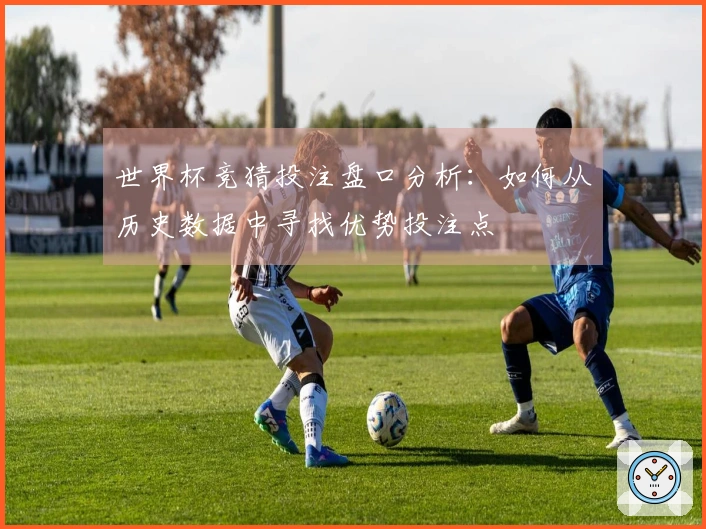 世界杯竞猜投注盘口分析：如何从历史数据中寻找优势投注点